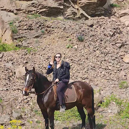 Farm stay West Troya *