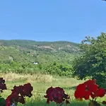 West Troya * Wynohradiw