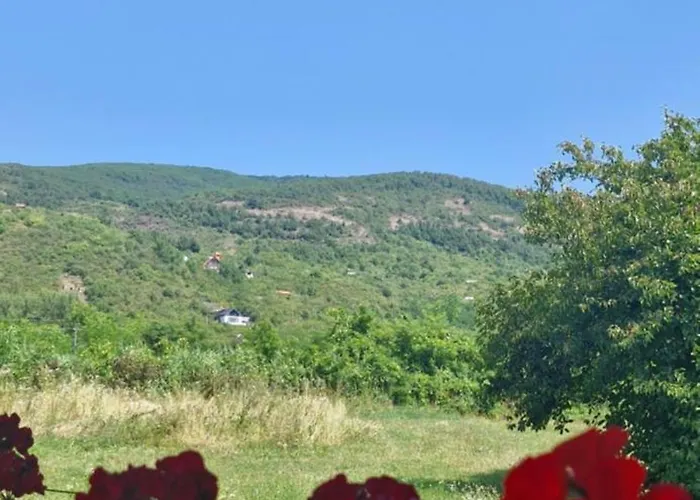 West Troya * Nagyszőlős